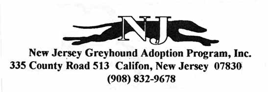 NJ Greyhound Adoption