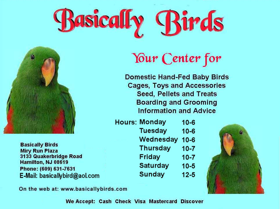 Basically Birds