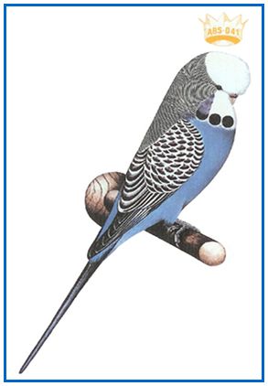 American Budgerigar Society