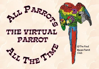The Real Macaw Parrot Club