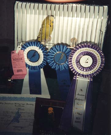 Garden State 1996 - Best Novice